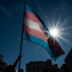 A transgender Pride flag is held up against the sky, a sunburst in the background.
